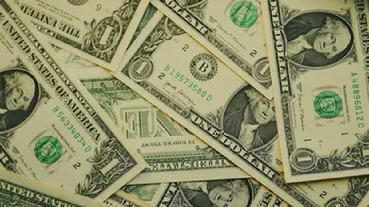 Ingresaron los dólares del Banco Mundial