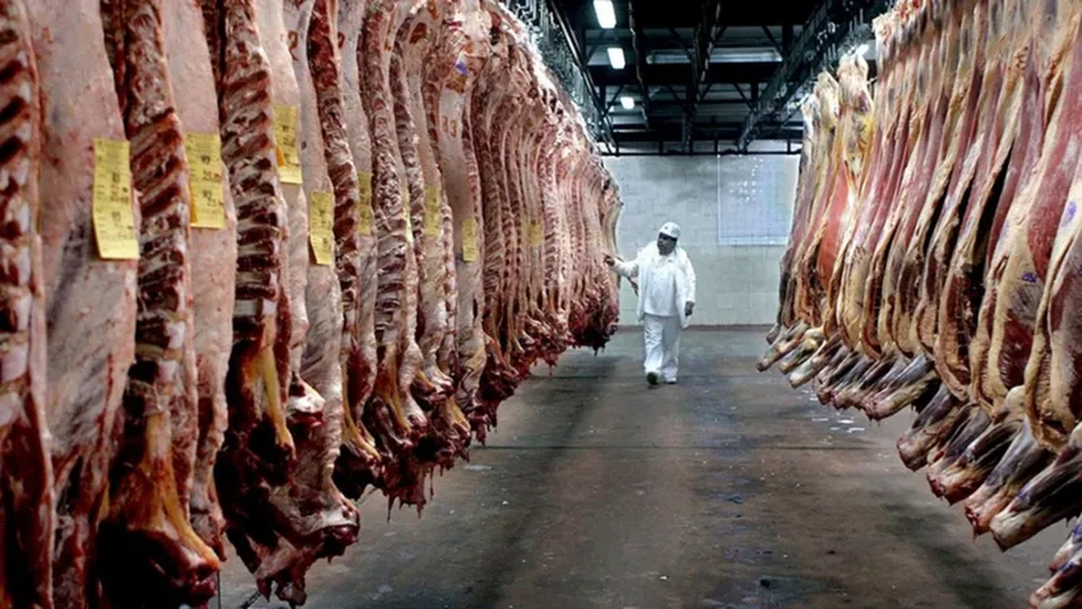 La exportación de carne cayó un 7,5% en el primer trimestre de 2025