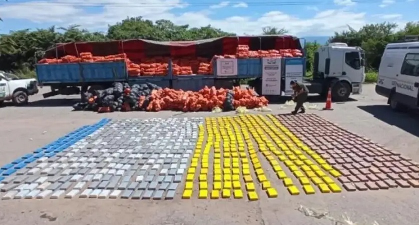 Éxito del Operativo Lapacho en Tucumán: el decomiso de droga creció 450 por ciento -