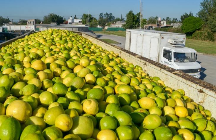 Jaldo sobre el conflicto en el citrus: "Es una cuestión privada pero ayudaremos a resolverlo"