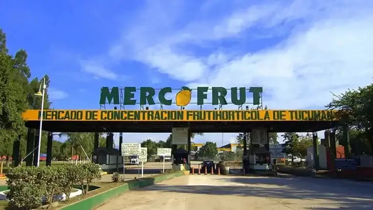 Hallan el cadáver de una mujer degollada cerca del Mercofrut