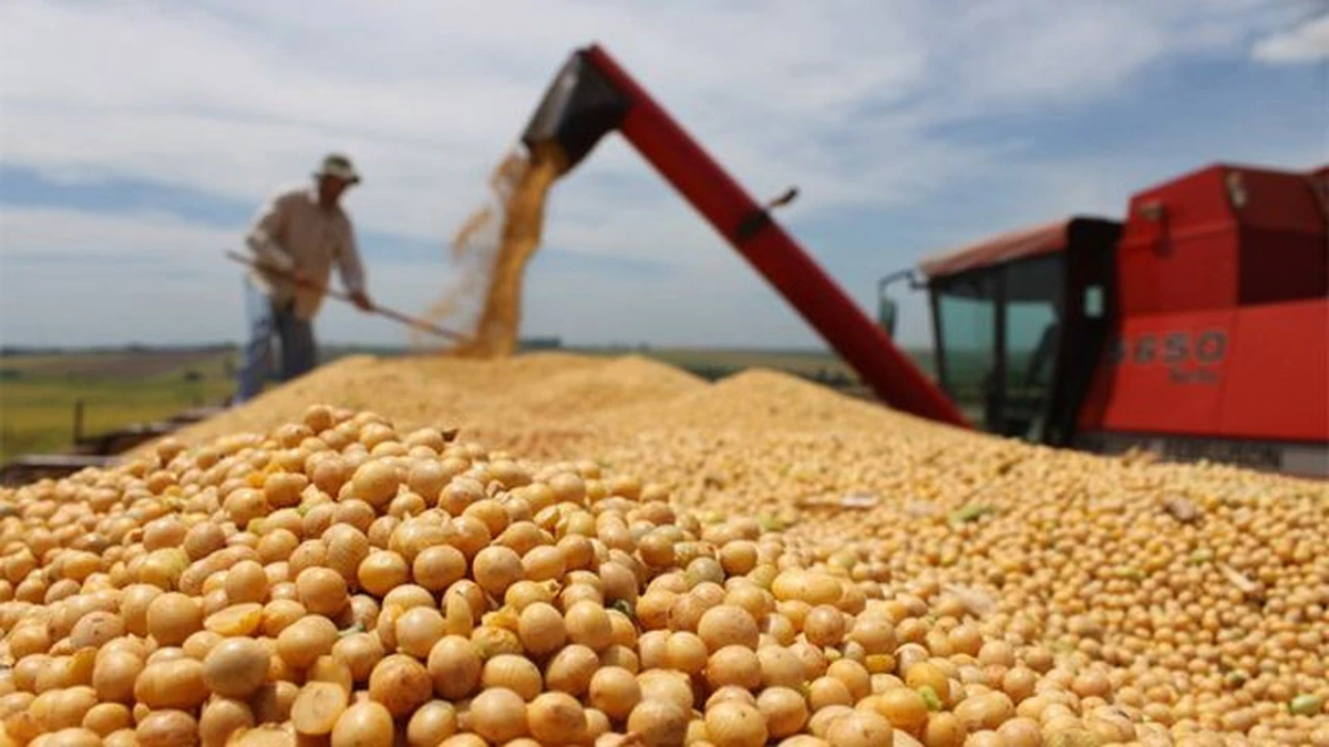 Argentina exportará harina de soja a China por primera vez