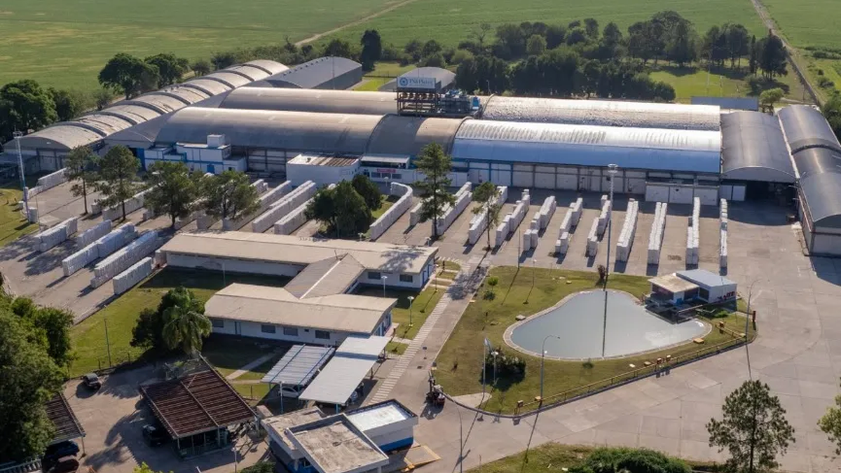 Las importaciones llevan a frenar la industria hasta un 60%